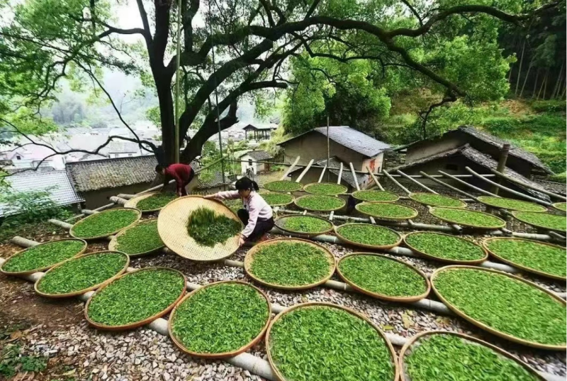 1758808053474879.png 微信图片_2025-09-25_214657_671(1).png