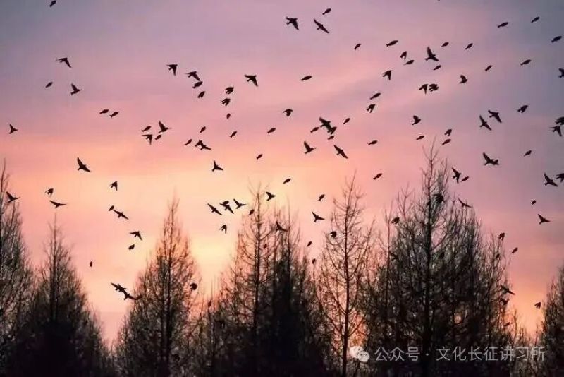 1758863699619821.jpg 微信图片_2025-09-26_131422_114.jpg