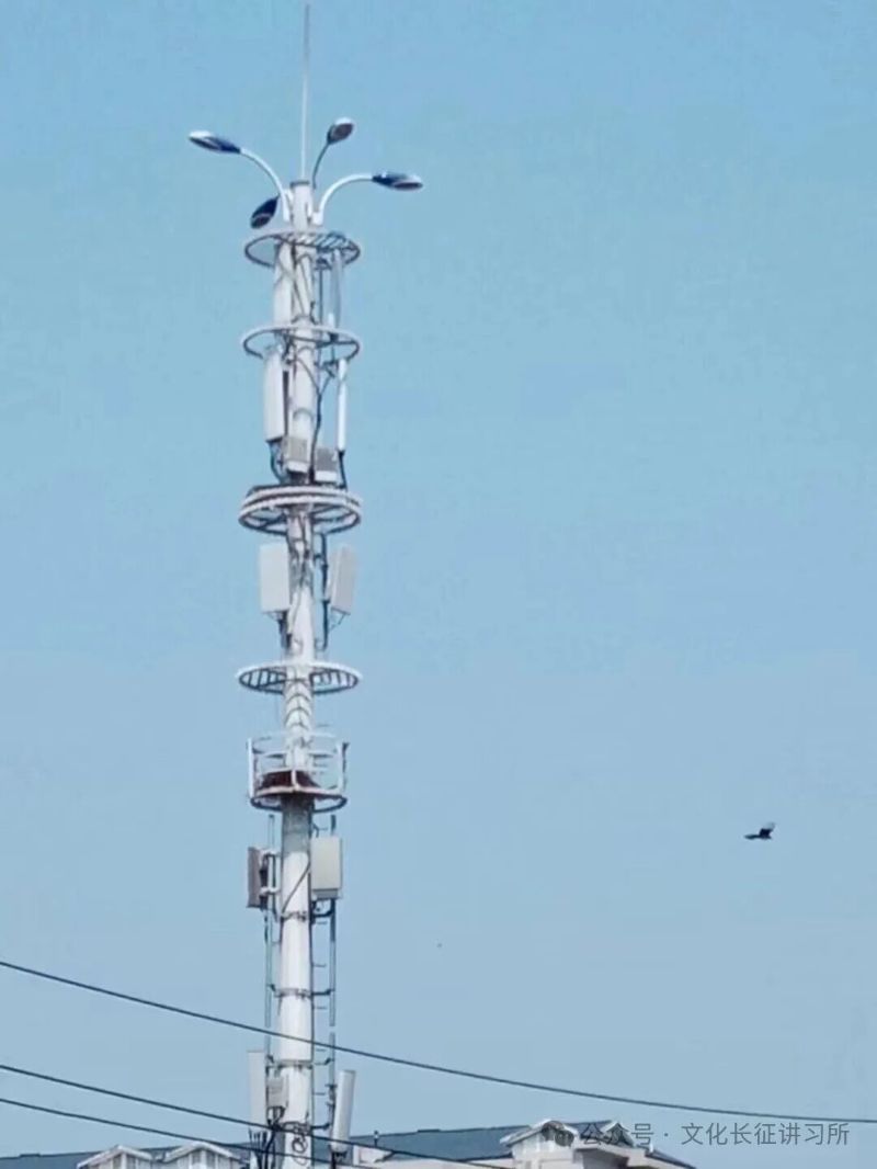 1758863830845093.jpg 640 (7).jpg