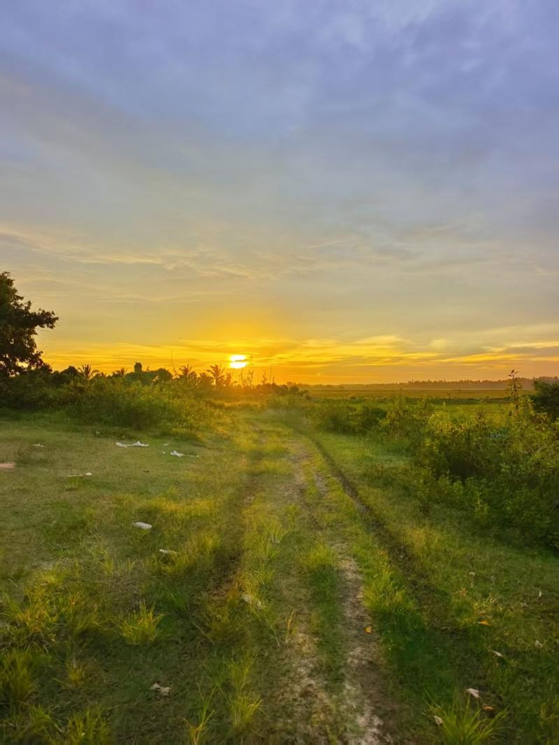 秋绪：在时光的褶皱里拾取从容