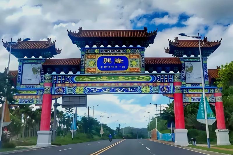 海南兴隆：一杯咖啡里的侨乡传奇 |乡村振兴系列报道